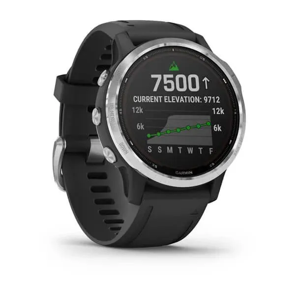 Часы Garmin Fenix 6S Solar серебристый с черным ремешком Часы Garmin Fenix 6S Solar серебристый с черным ремешком
